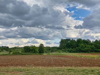 Scenic view of field against sky