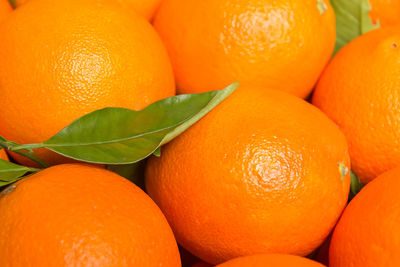 High angle view of oranges