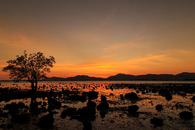 Silhouette rocks on shore against sky during sunset