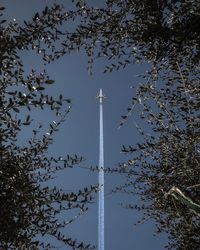 Low angle view of tree against sky