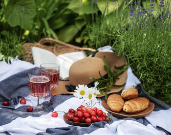 Picnic outdoors in lavender fields. rose wine in a glass, cherries and straw hat on blanket