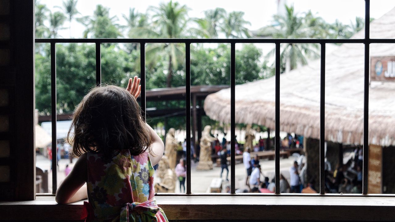 real people, childhood, one person, day, window, focus on foreground, rear view, lifestyles, indoors, tree, close-up, people