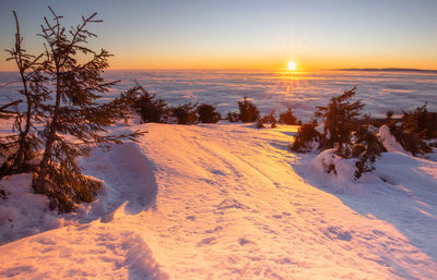 Scenic view of snow covered land during sunset