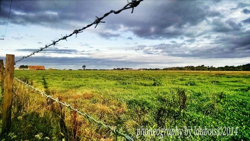 Scenic view of field against cloudy sky