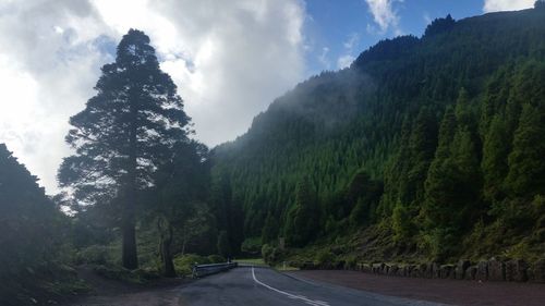 Road amidst trees in forest against sky