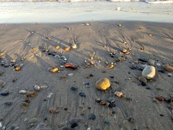 High angle view of footprints on beach