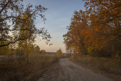 Road amidst trees during autumn against sky