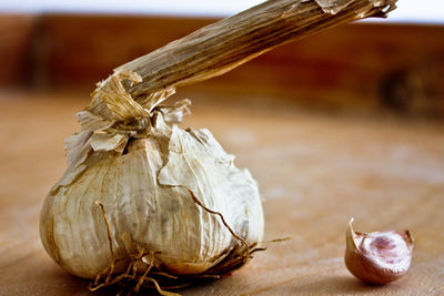 Close-up of garlic on table