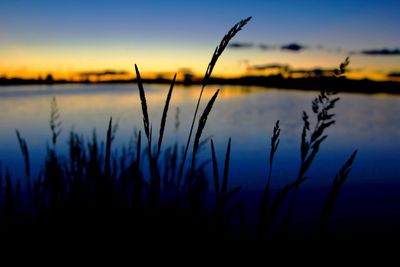 Scenic view of lake at sunset