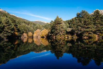 Reflection of trees in lake against sky