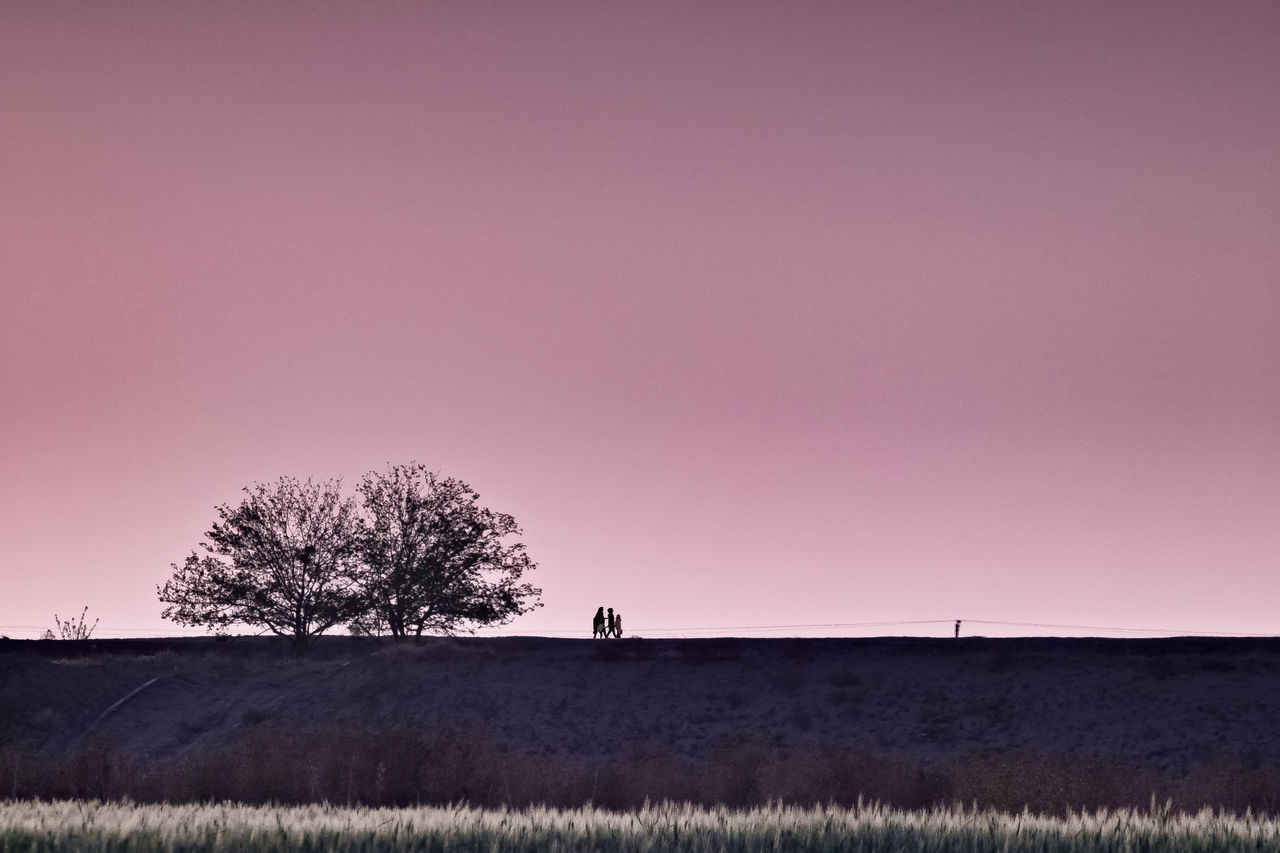 SILHOUETTE TREES ON FIELD AGAINST SKY