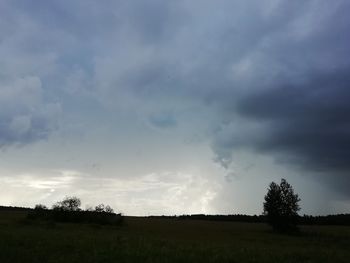 Silhouette trees on field against sky