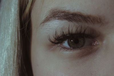 Close-up of human eye