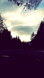 Silhouette of trees against sky