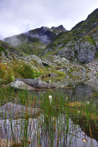 Scenic view of lake and mountains against sky