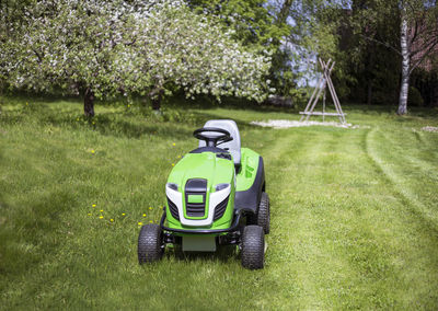 Vintage car on grass against trees