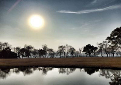 Reflection of trees in lake