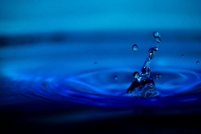 Close-up of water drops on leaf