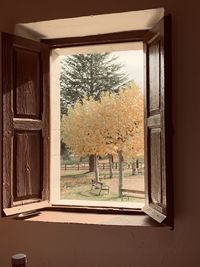 Trees and plants seen through window of house