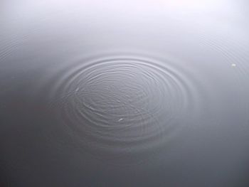 Reflection of water in water