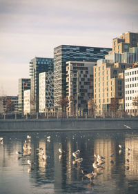 Reflection of buildings in water