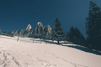 Snow covered land and trees against blue sky