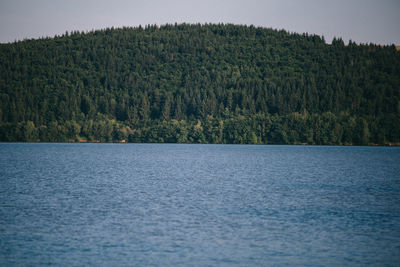 Scenic view of lake in forest against sky