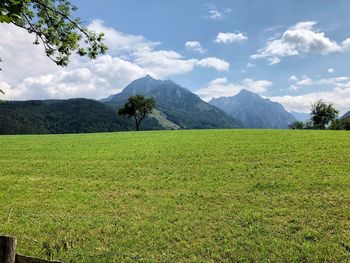 Scenic view of field against sky