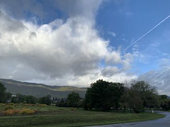 Trees on field against sky