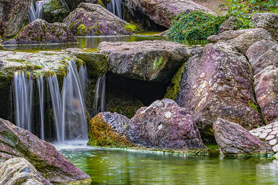 View of waterfall with plants in foreground