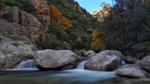 Scenic view of waterfall