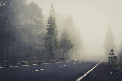 Road amidst trees against sky during foggy weather