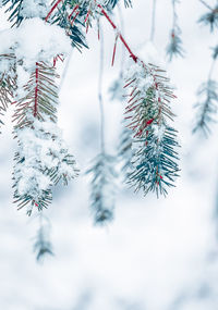 Low angle view of christmas tree against sky