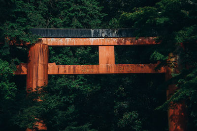 View of bridge in forest