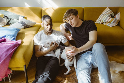 Young man sharing smart phone with friend stroking bull terrier dog at home