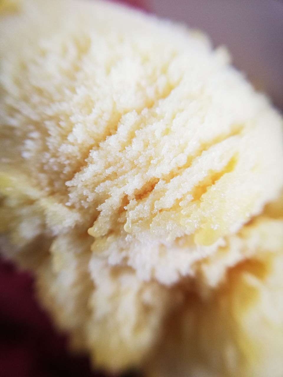 CLOSE-UP OF WHITE CAKE