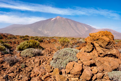 Scenic view of desert against blue sky