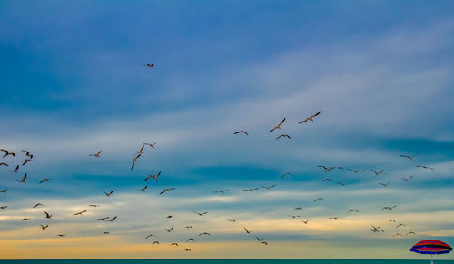 Love the contrast of the red beach umbrella against the blue and yellow sky and flying seagulls.