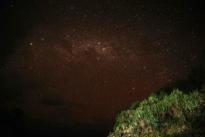 Low angle view of star field against sky at night