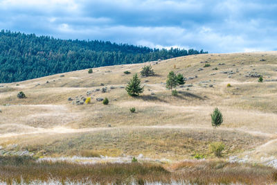 Scenic view of land against sky