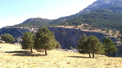 Scenic view of landscape and mountains against sky