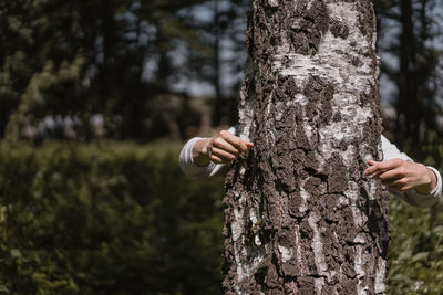 Close-up of man holding tree trunk in forest