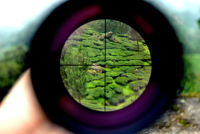 Close-up of reflection of tree in water