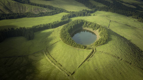 Aerial view of pond surrounded by trees on field