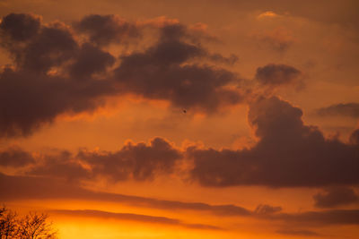 Low angle view of dramatic sky during sunset