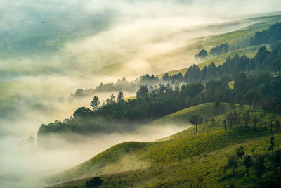 Scenic view of green landscape against sky