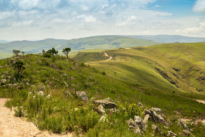 Scenic view of landscape against sky