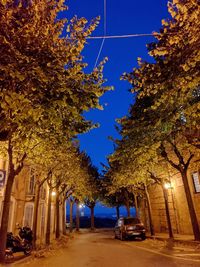 Street amidst trees against sky at night