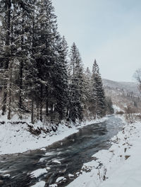 Snow covered land and trees against sky