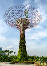 Low angle view of flowering plant against sky